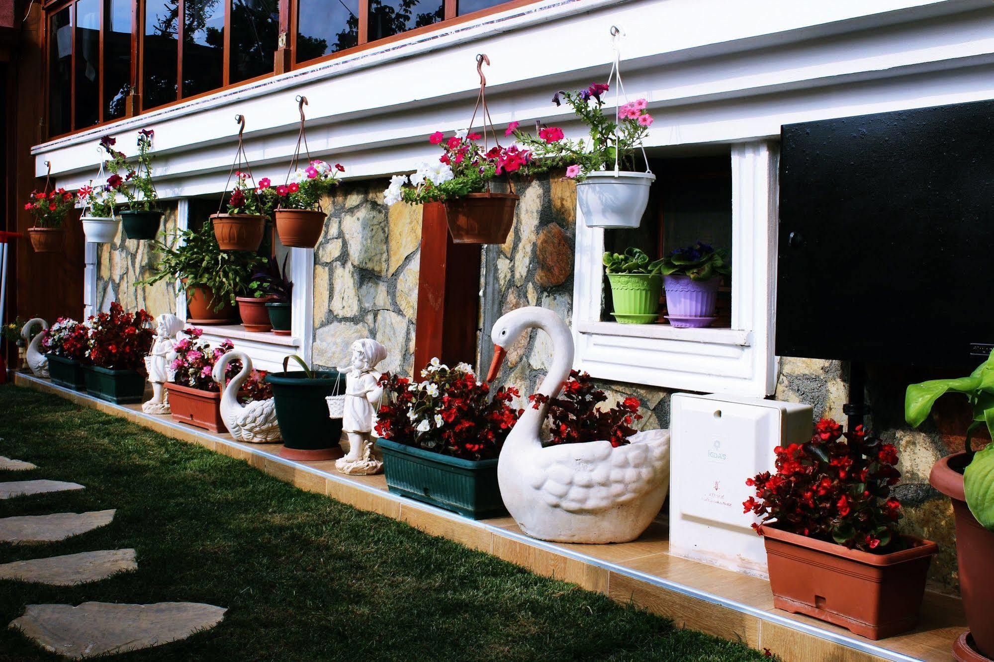 Agva Sahil Yildizi Hotel ภายนอก รูปภาพ